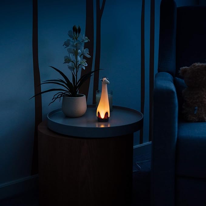 TORCH LIHT GINA GREY5