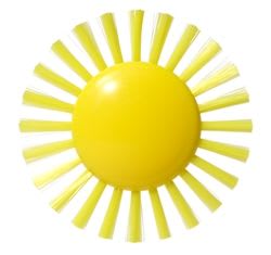 PLUI BRUSH SUNNY1