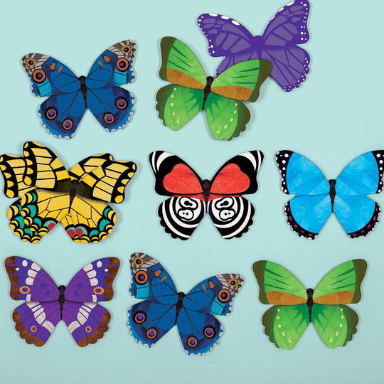 MEMORICE MARIPOSAS3