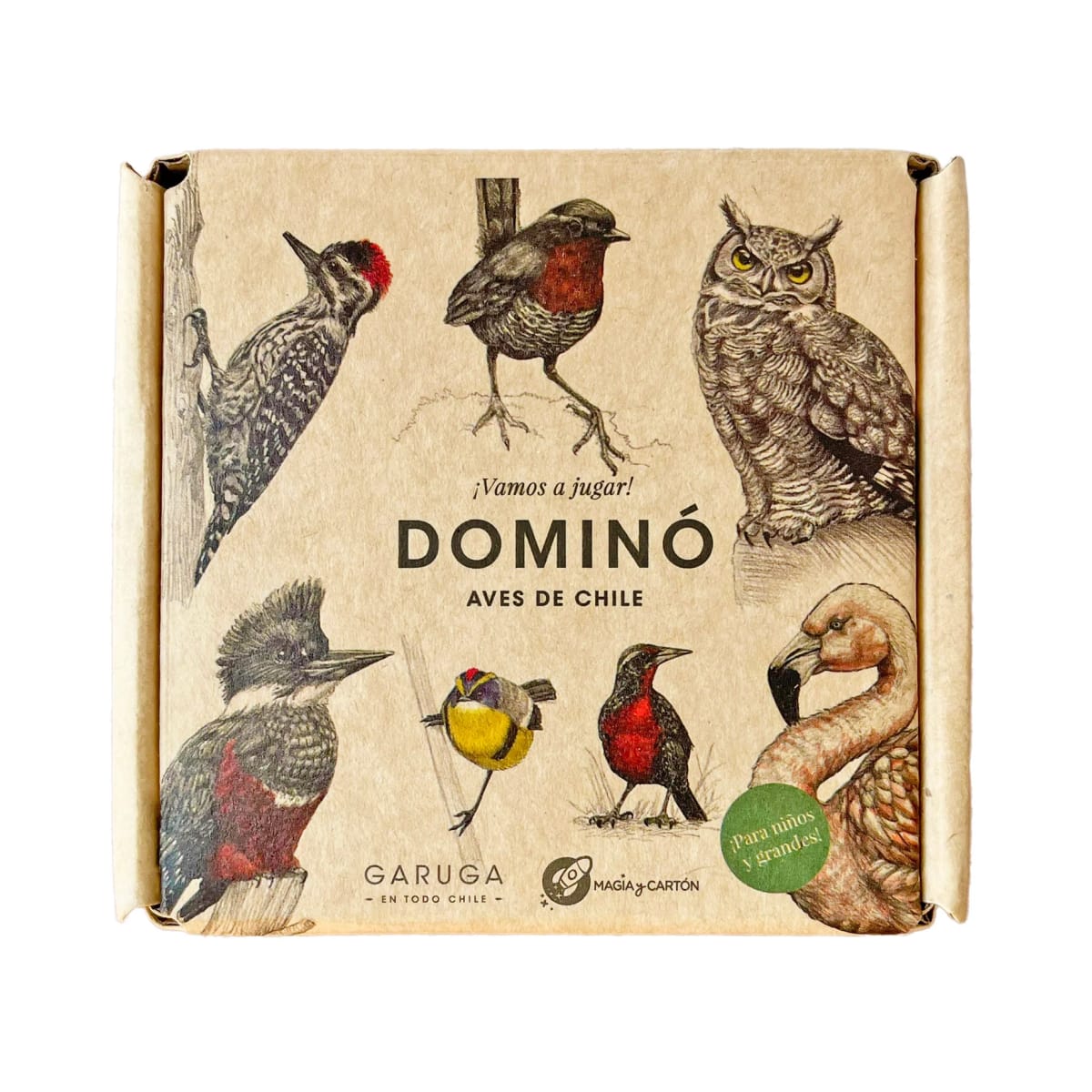DOMINO DE AVES1