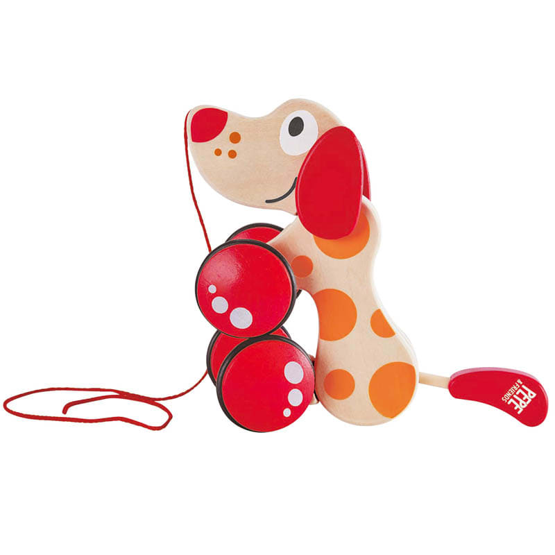 WALK A LONG PUPPY2