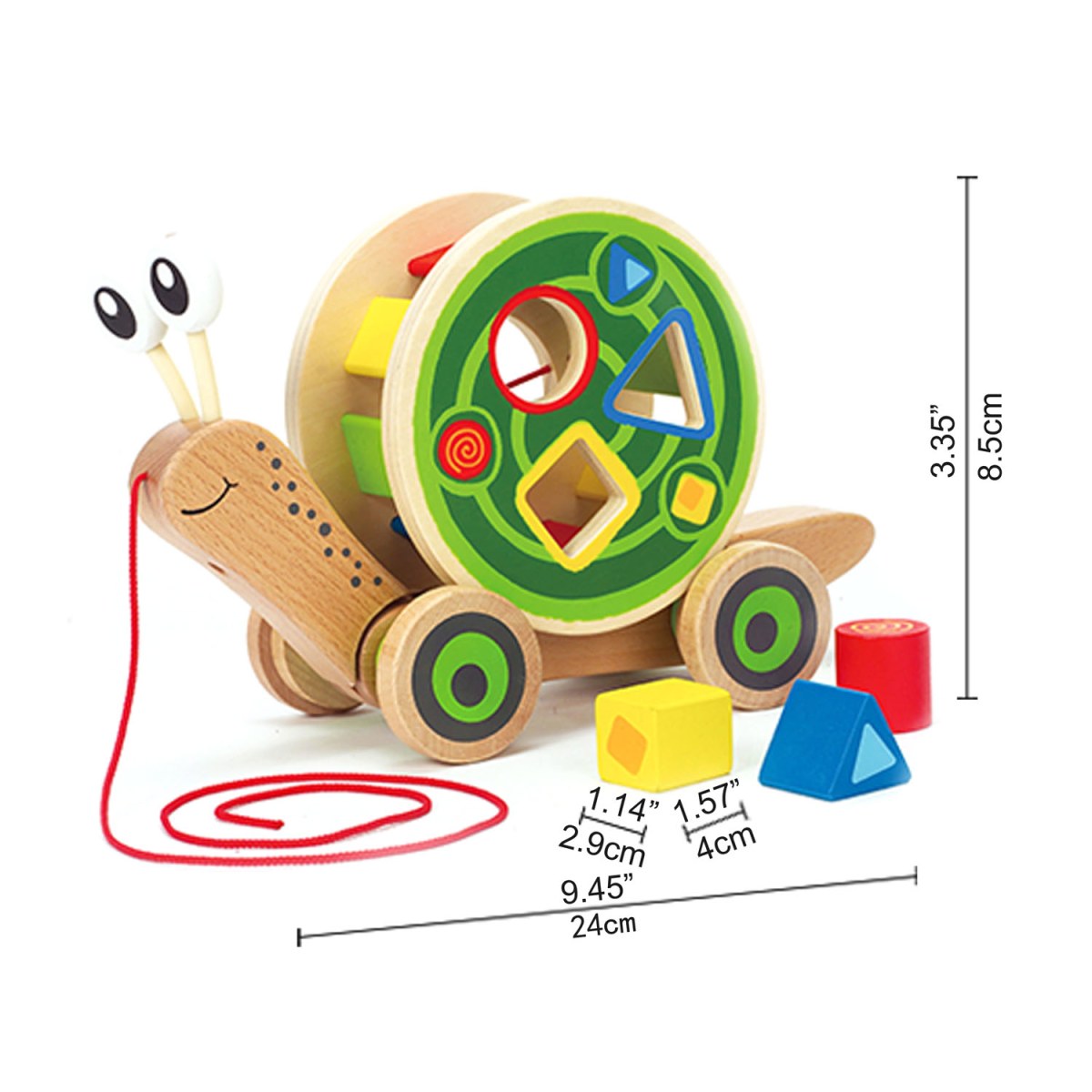 CARACOL DE ARRASTRE4