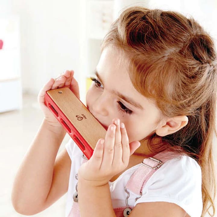 HARMONICA DE BLUES2