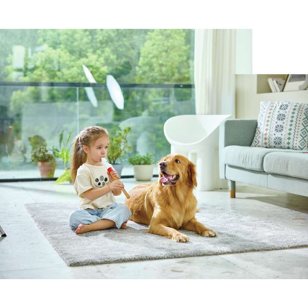 GRABADORA DE INICIACION PARA MUSICOS2