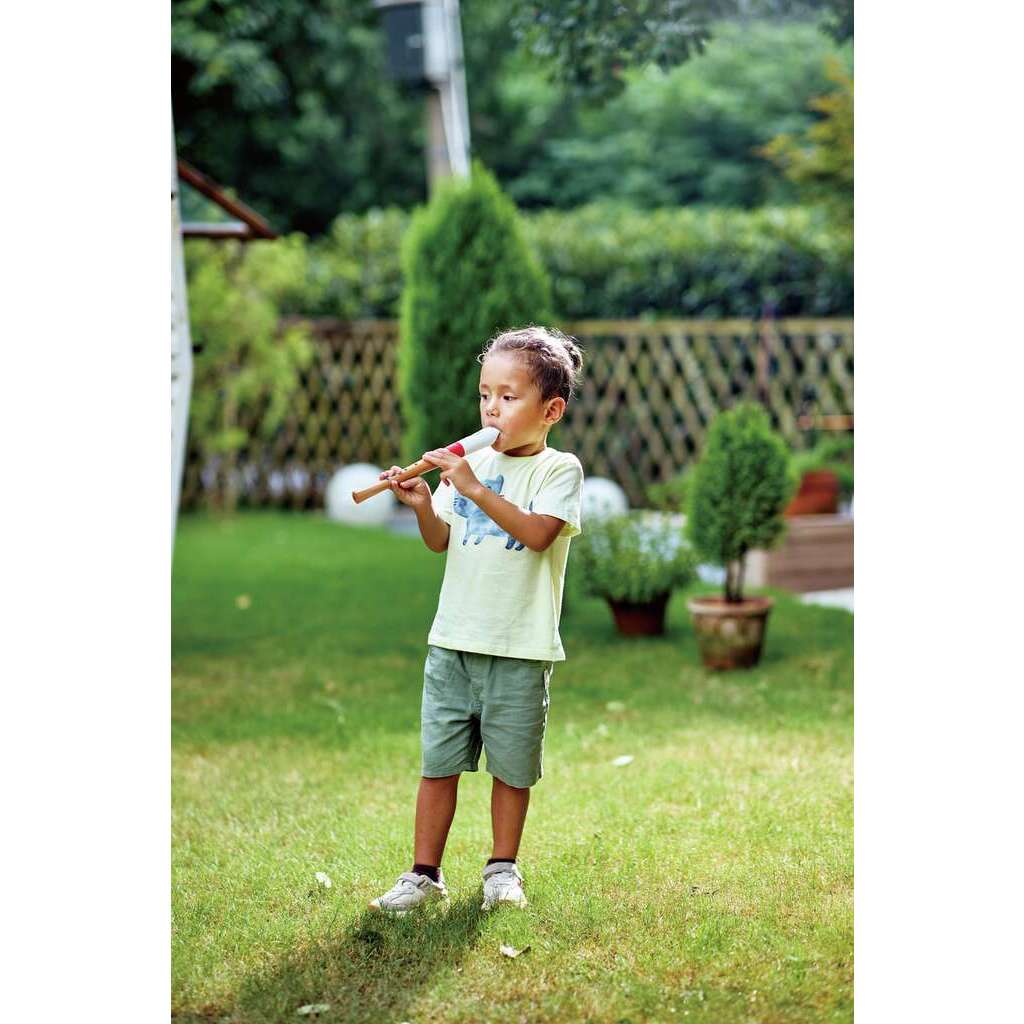 GRABADORA DE INICIACION PARA MUSICOS3