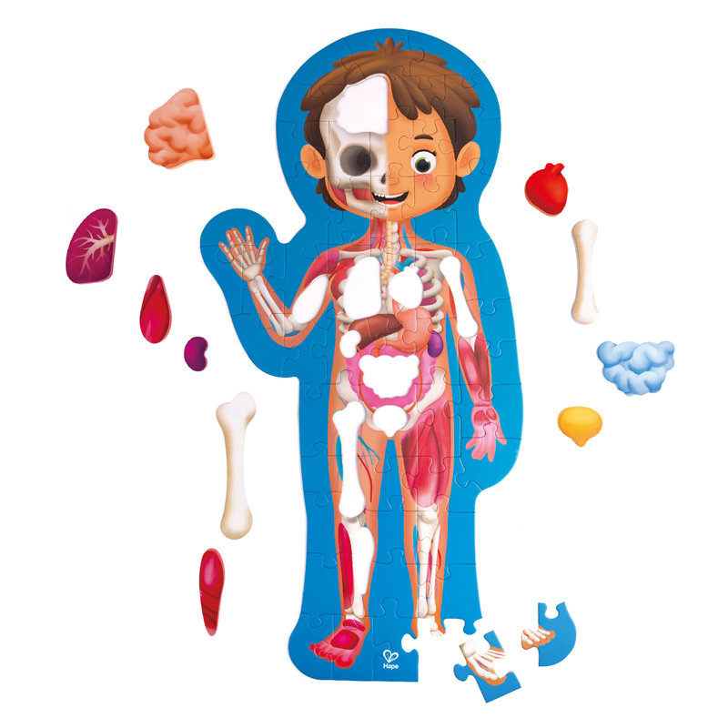 PUZZLE CUERPO HUMANO5