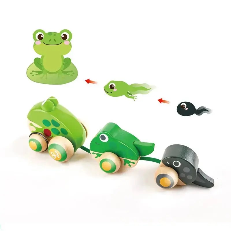 JUEGO DE ARRASTRE FAMILIA RANA2