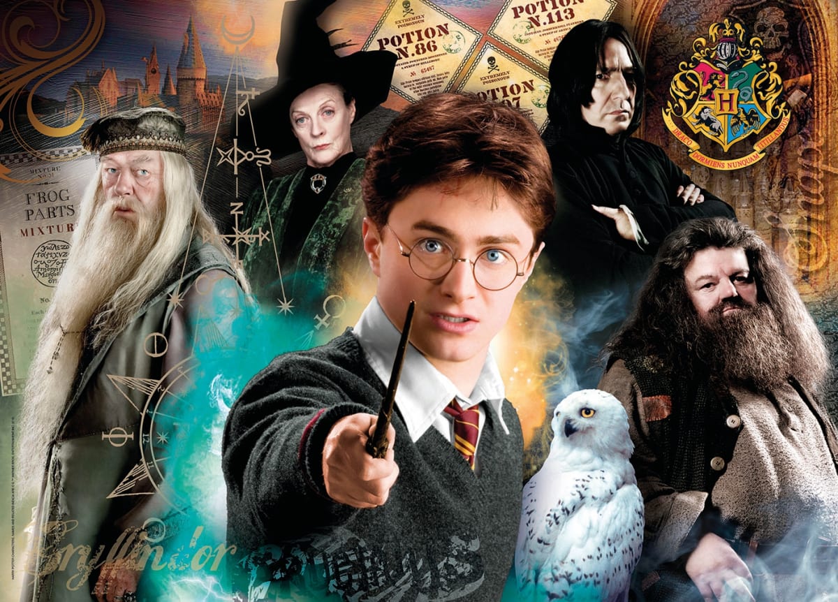 PUZZLE 500 PCS HARRY POTTER 22