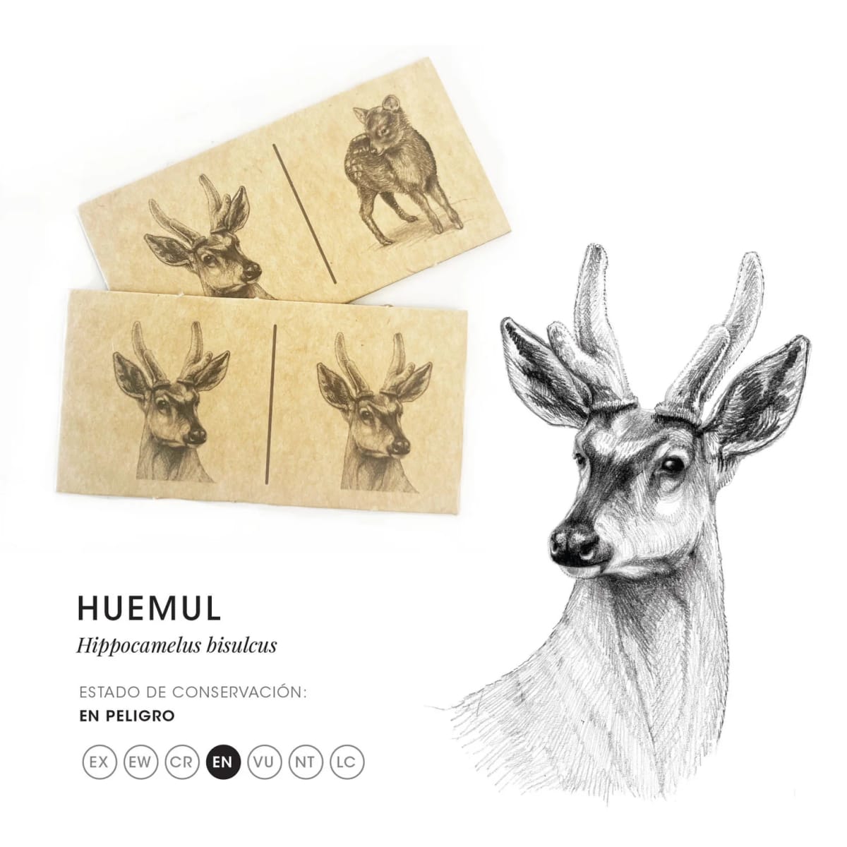 DOMINO DE MAMIFEROS2