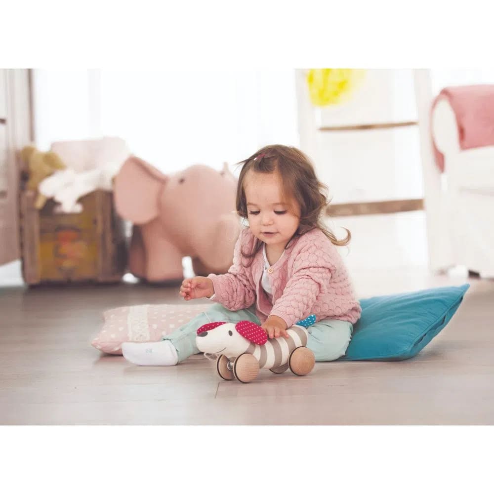 ARRASTRE HUGO CAMINA2