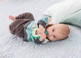 TEETHER HEDGEHOG2