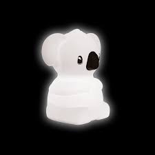 KIDYNIGHT KOALA2