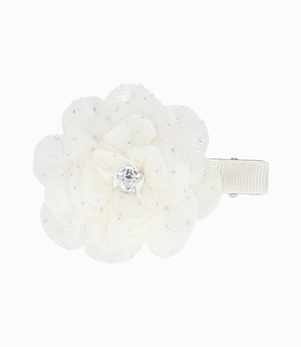 PINCHE CRUDO 00 CRUDO 11