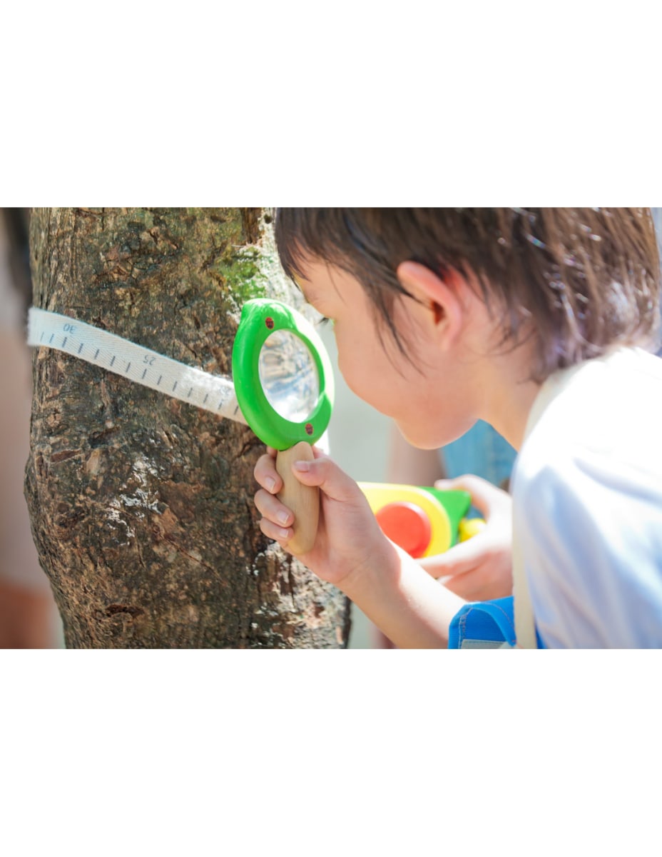 LUPA DE HOJAS PLAN TOYS2