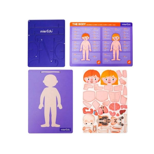 MALETIN MAGNETICO ANATOMIA3