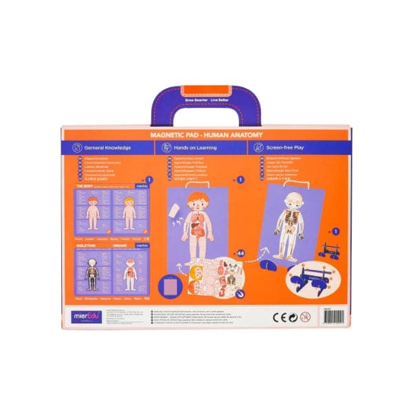 MALETIN MAGNETICO ANATOMIA4