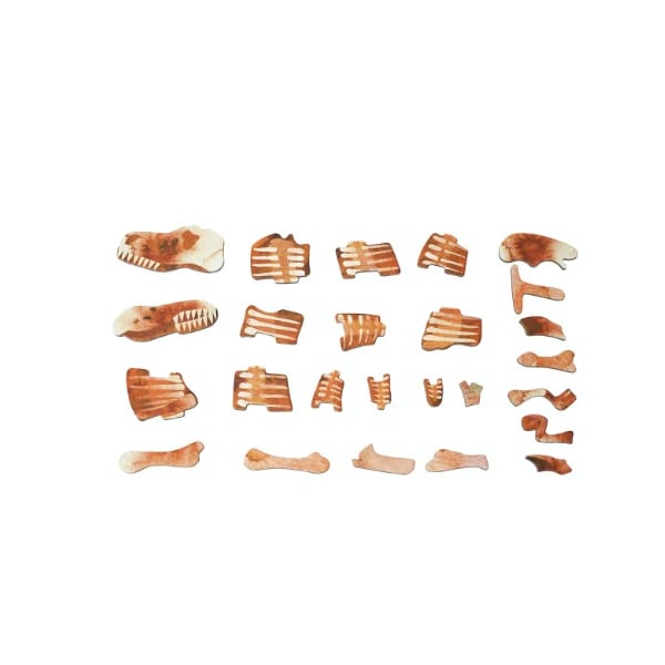 MALETIN MAGNETICO T REX4