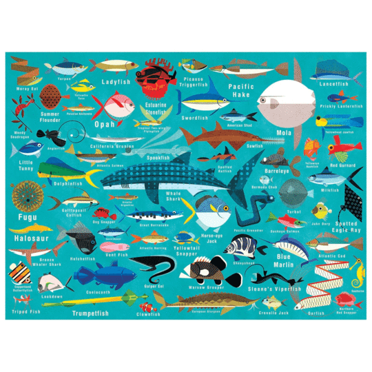 VIDA DEL OCEANO 1000 PCS PUZZLE2