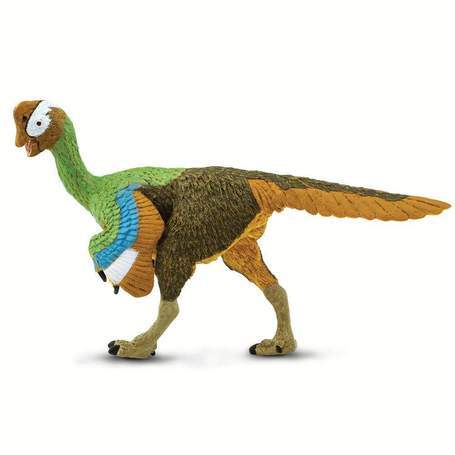 CITIPATI1