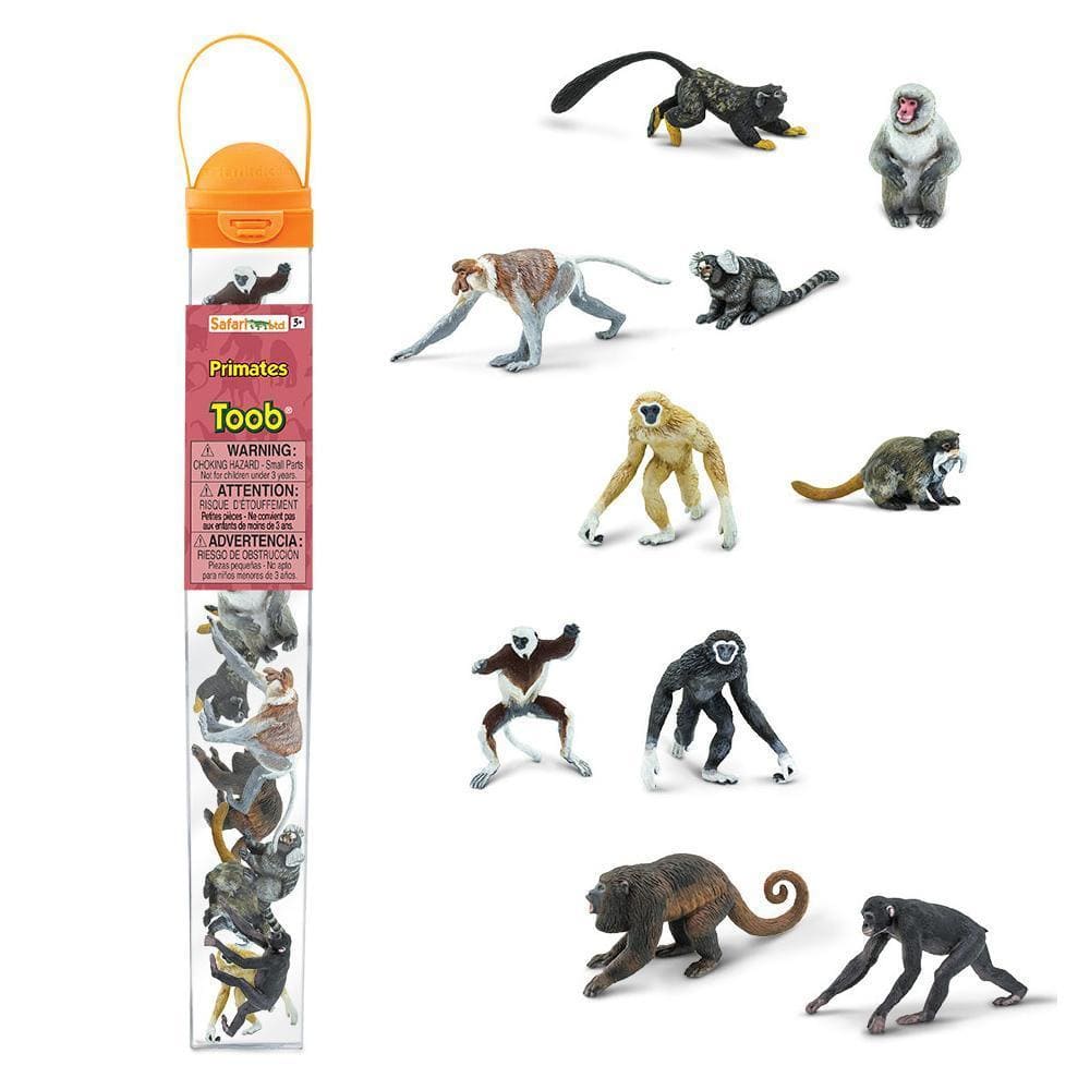 PRIMATES1