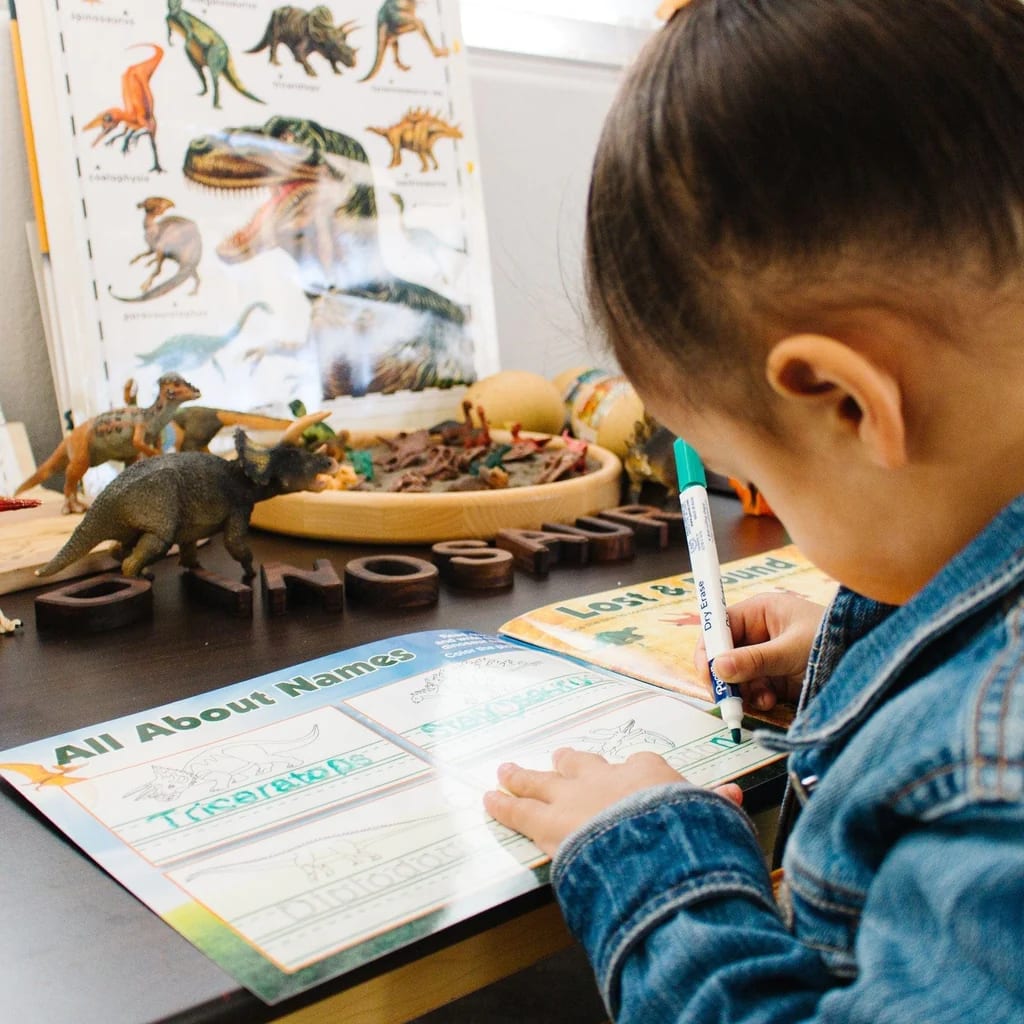 DINOSAUR ACTIVITY BOOK2