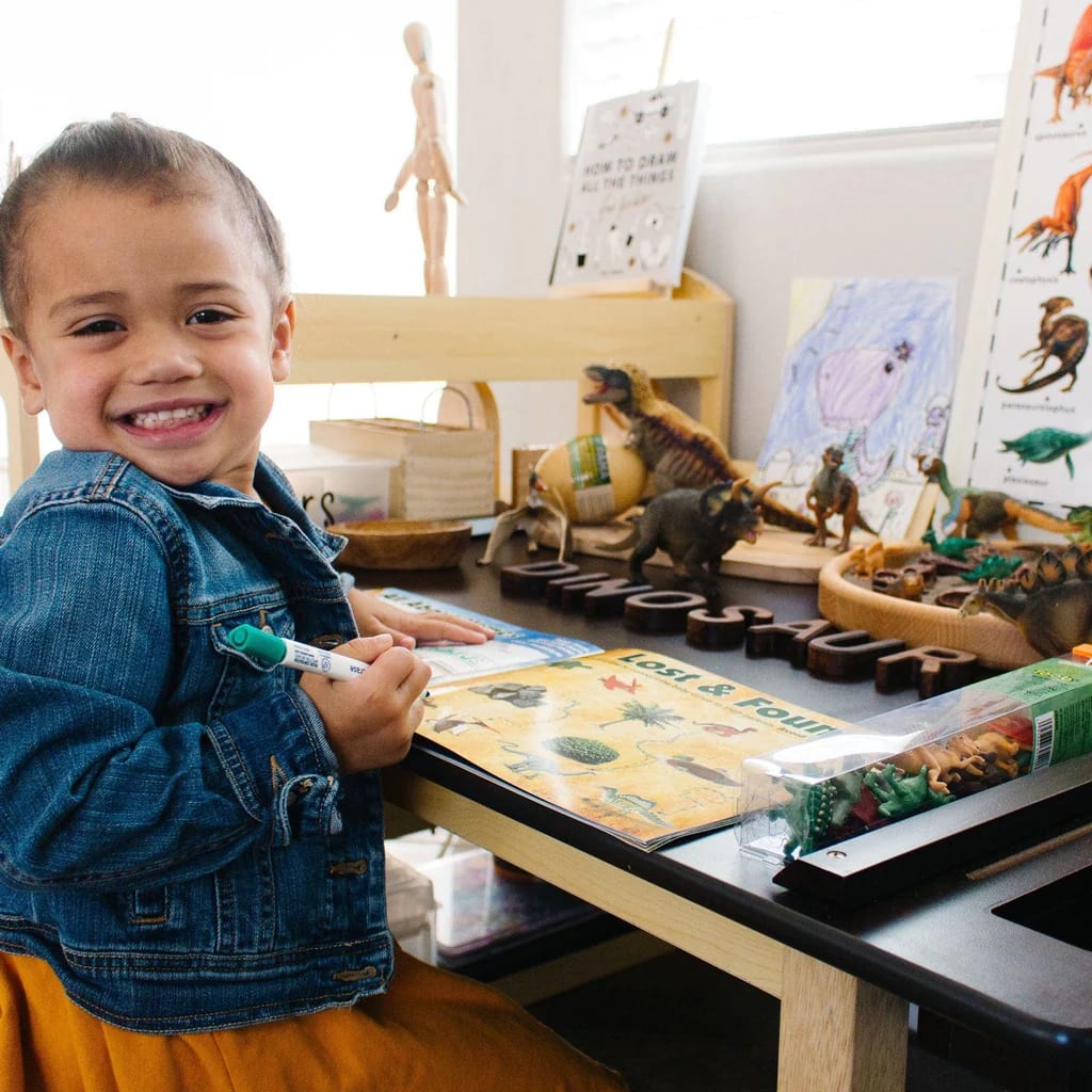 DINOSAUR ACTIVITY BOOK3