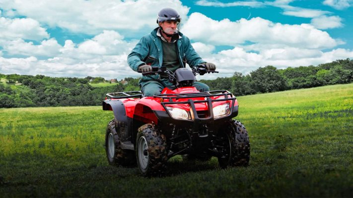 COTIZAR ATV HONDA TRX250TM4