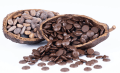 SICAO CHOCOLATE ALTA FLUIDEZ 250 GRD