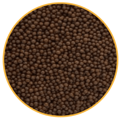 GRAGEA CHOCOLATE 100G