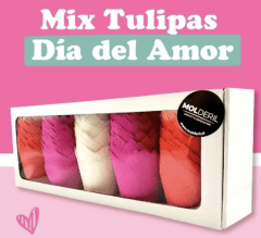 MIX TULIPAS SAN VALENTIN