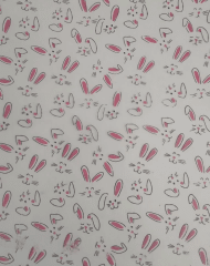 TRASNFER 02-716 PASCUA