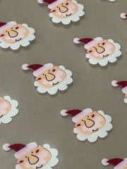 TRANSFER 04-204 NAVIDAD