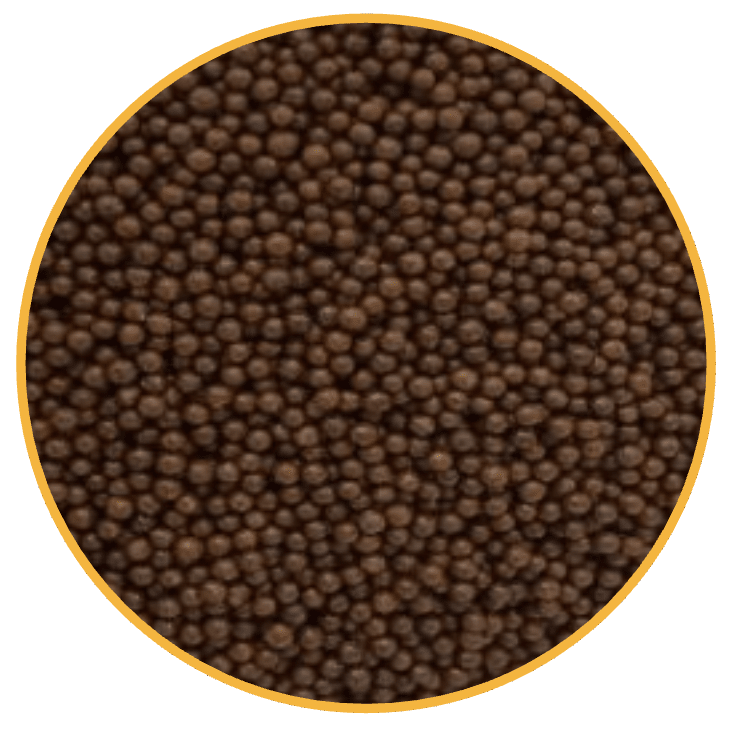 GRAGEA CHOCOLATE 100G1