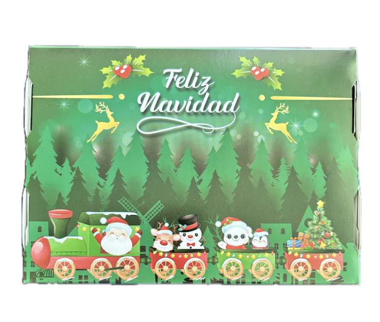 CAJA NAVIDAD BOSQUE TREN2