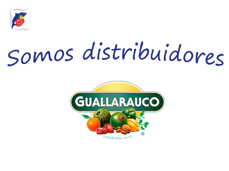 Segundo alt