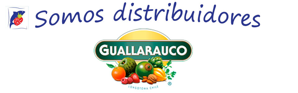 Segundo alt