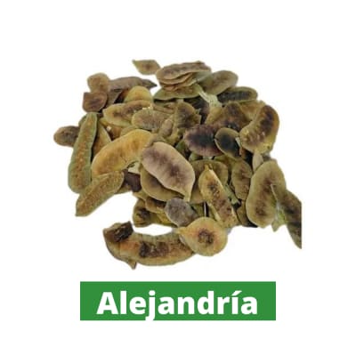 ALEJANDRIA HOJAS X  8 GRAMOS1
