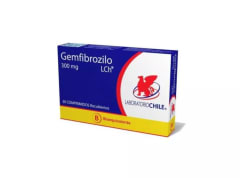 GEMFIBROZILO 300 MILIGRAMOS X 30 COMPRIMIDOS BIOEQUIVALENTE