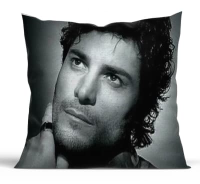 Cojín Decorativo Chayanne D41