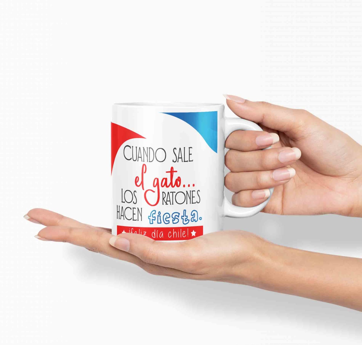 Taza Fiestas Patria D5 (320ml)2