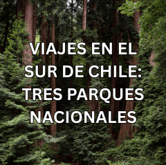 Viajes en el Sur de Chile: Parques nacionales