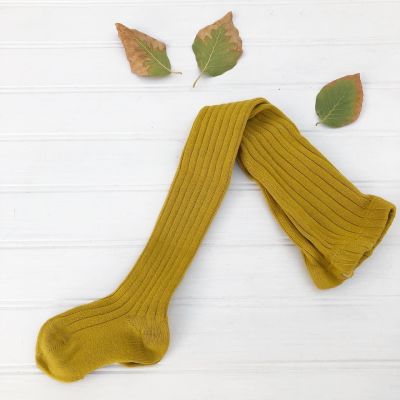 BALLERINAS CANALLE CURRY2