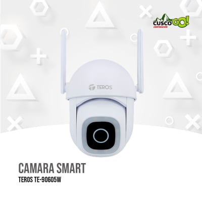 CAMARA SMART TEROS TE-90605W1