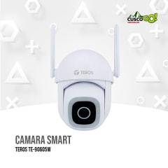 CAMARA SMART TEROS TE-90605W