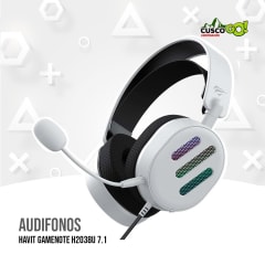 AUDIFONOS HAVIT GAMENOTE H2038U 7.1