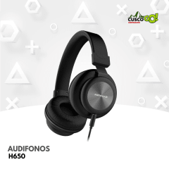 AUDIFONO ANTRYX H650