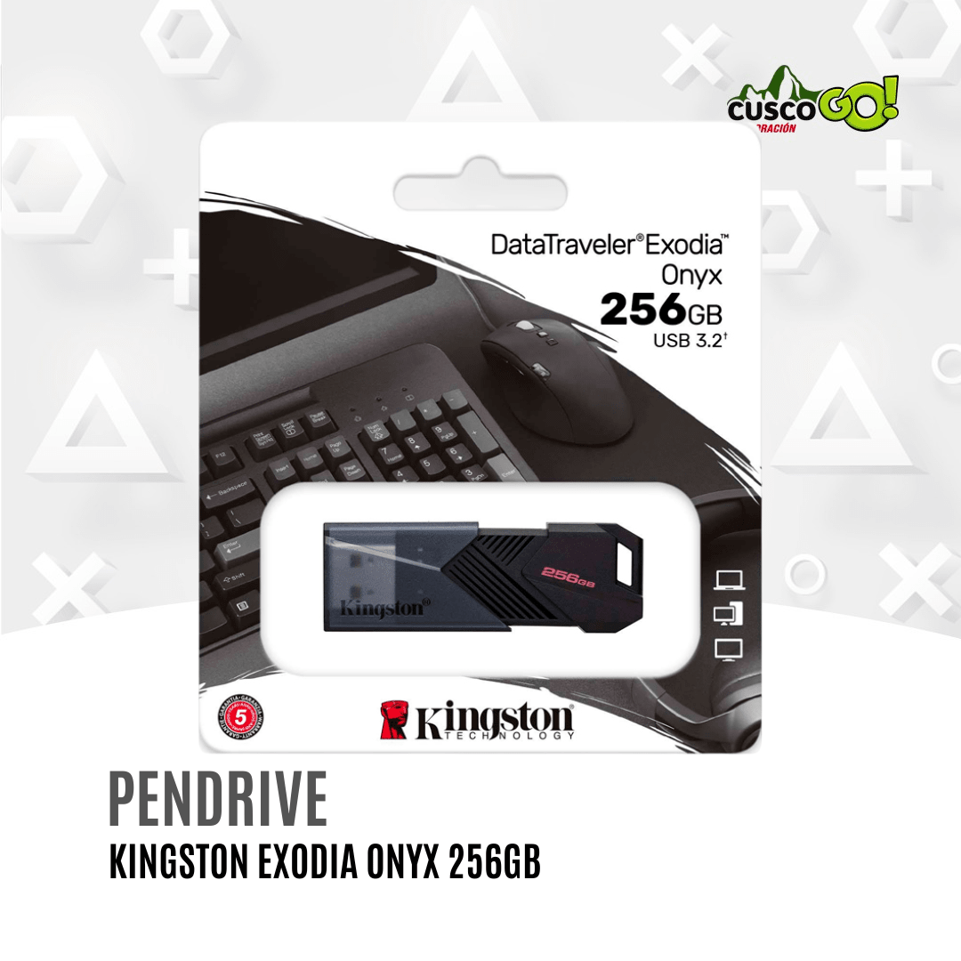 MEMORIA USB 256GB KINGSTON EXODIA ONYX 0