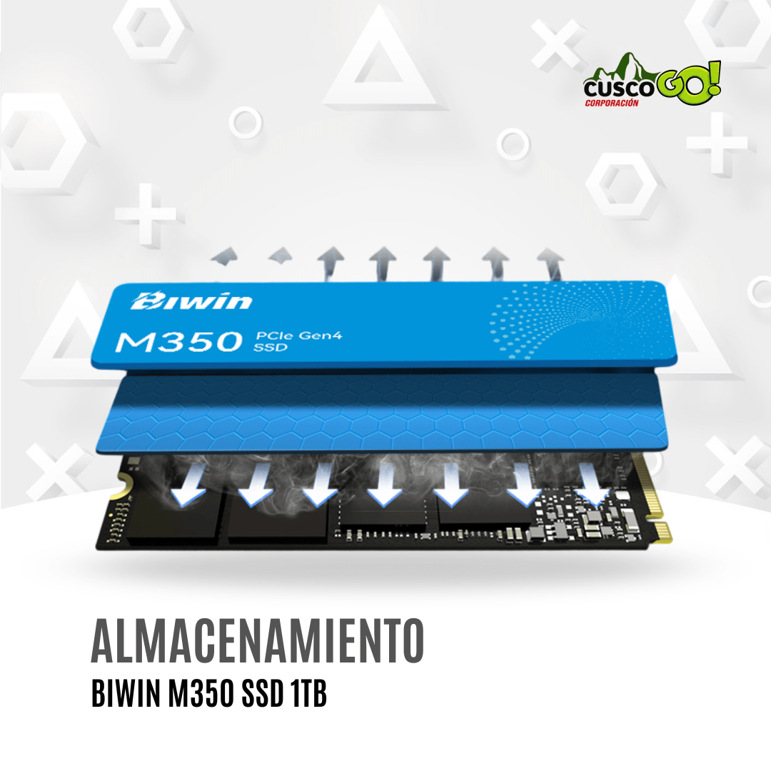 SSD Biwin M350 1TB NVMe PCIe Gen4 lectura 6000MBs2