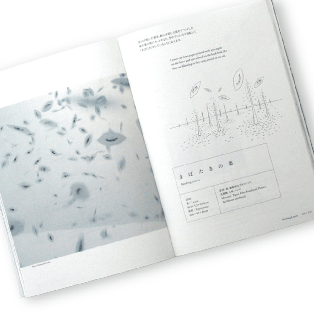 Blinking and Flapping | Un libro sobre la curiosidad y el arte de descubrir posibilidades7