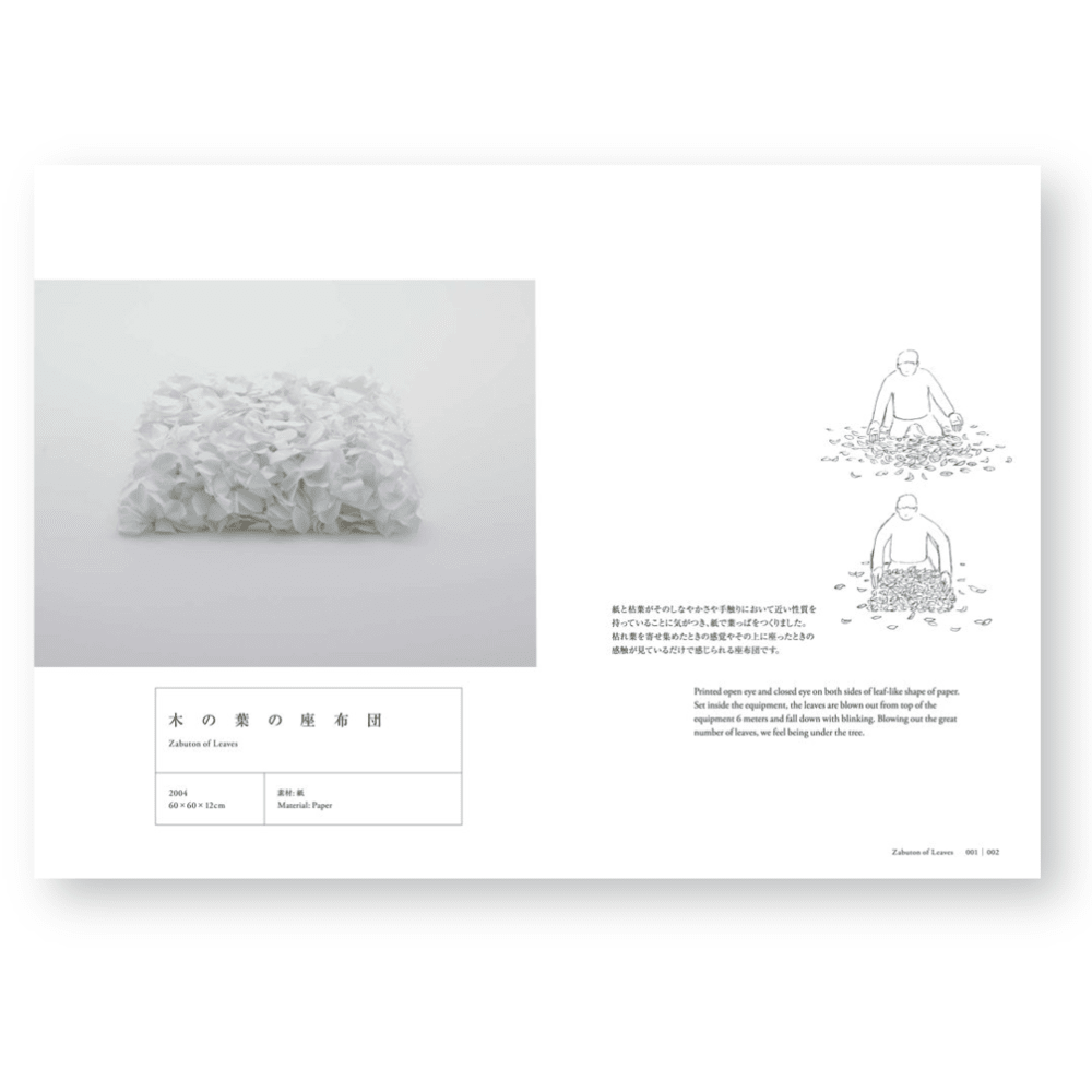 Blinking and Flapping | Un libro sobre la curiosidad y el arte de descubrir posibilidades3